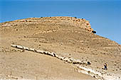 Hoces del ro Riaza, Montejo Spagna - Gregge sull'altopiano della Pena Rubia.